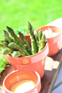 Dip Your Own Asparagus at Peach 3 - Copy